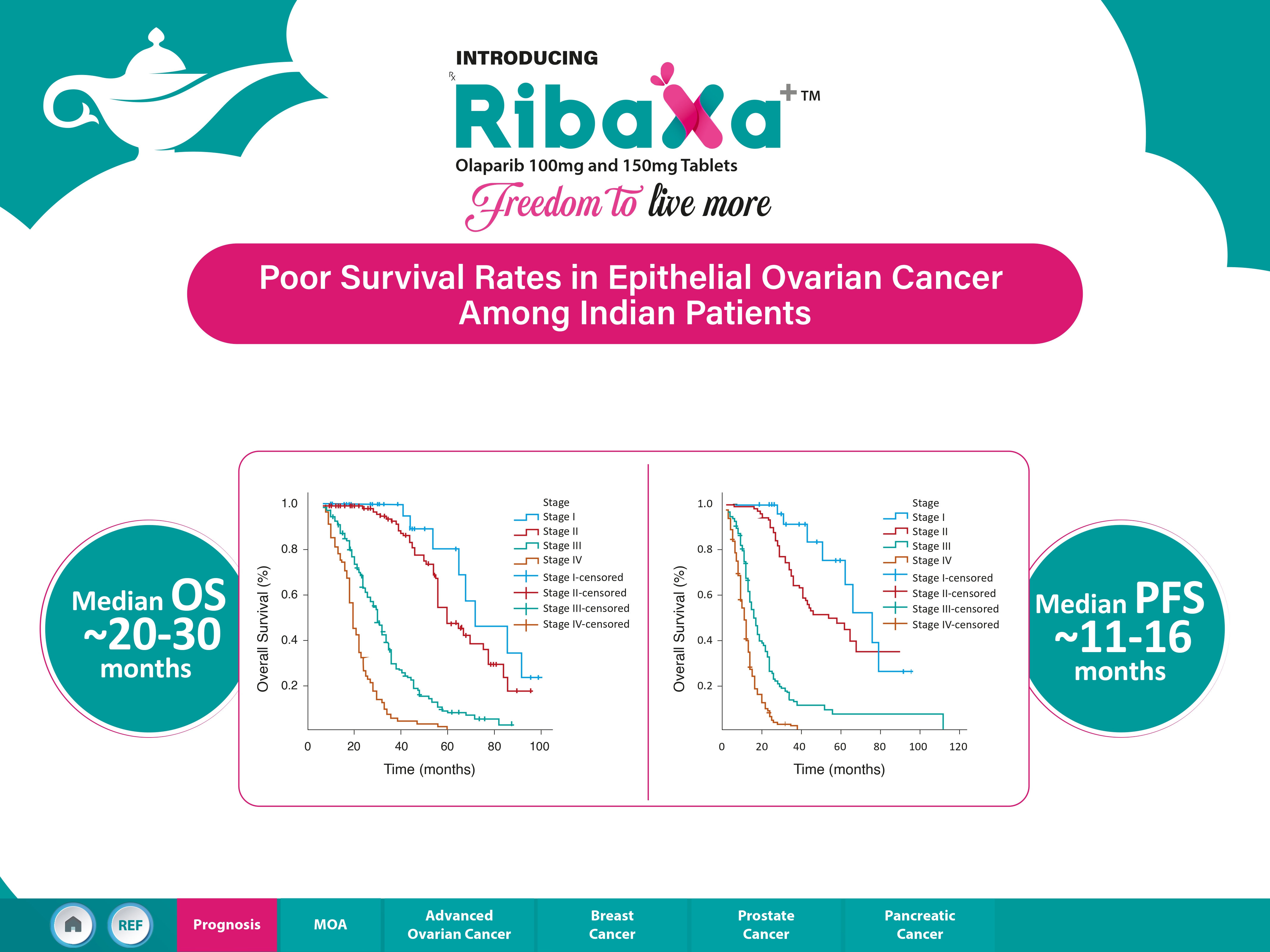 Ribaxa visual aid page 3